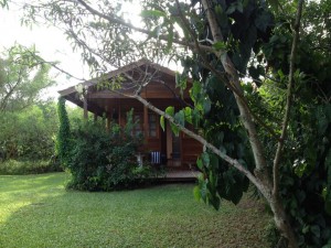 Jardim 